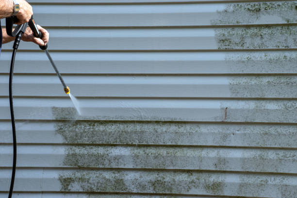 Same-Day Junk Removal Services in Hypoluxo, FL